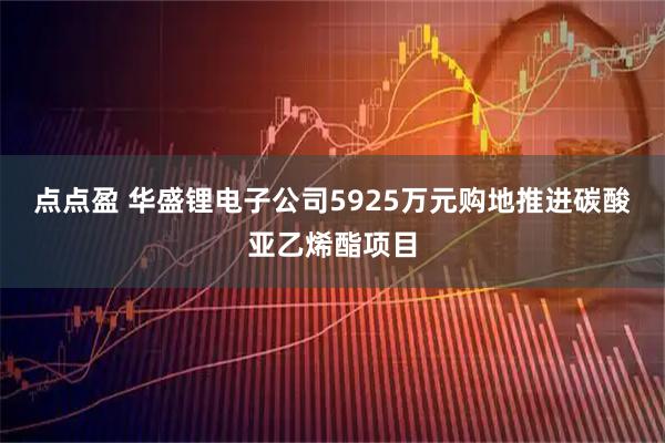 点点盈 华盛锂电子公司5925万元购地推进碳酸亚乙烯酯项目