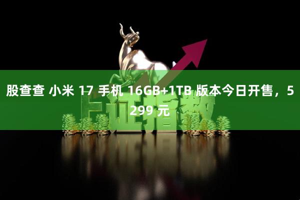 股查查 小米 17 手机 16GB+1TB 版本今日开售，5299 元