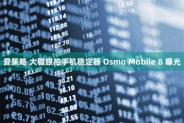爱策略 大疆跟拍手机稳定器 Osmo Mobile 8 曝光