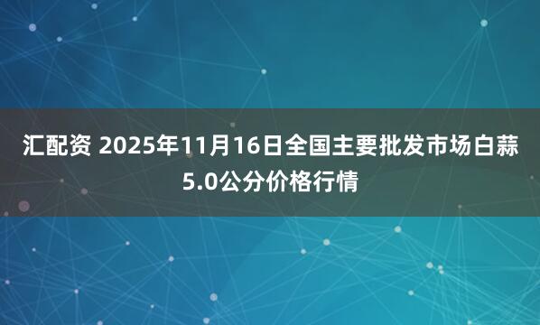 汇配资 2025年11月16日全国主要批发市场白蒜5.0公分价格行情