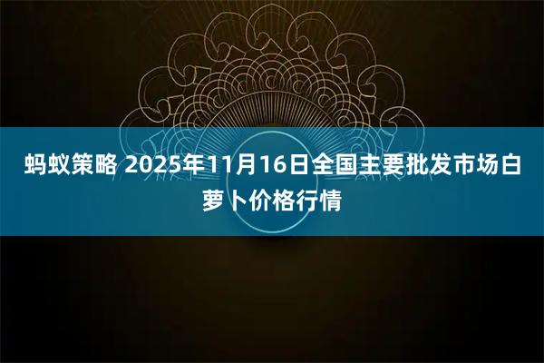 蚂蚁策略 2025年11月16日全国主要批发市场白萝卜价格行情