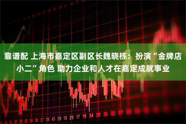 靠谱配 上海市嘉定区副区长魏晓栋：扮演“金牌店小二”角色 助力企业和人才在嘉定成就事业