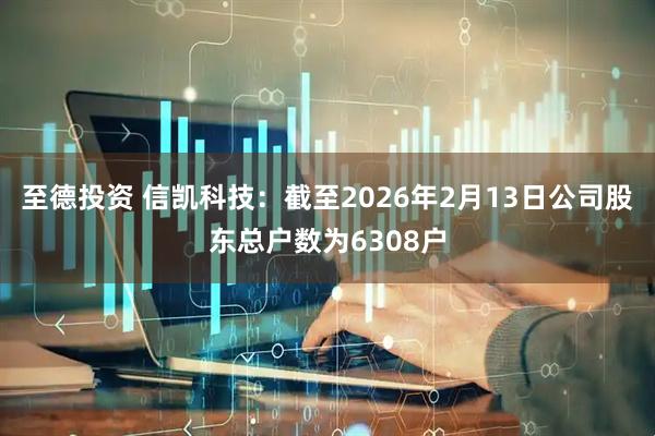 至德投资 信凯科技：截至2026年2月13日公司股东总户数为6308户